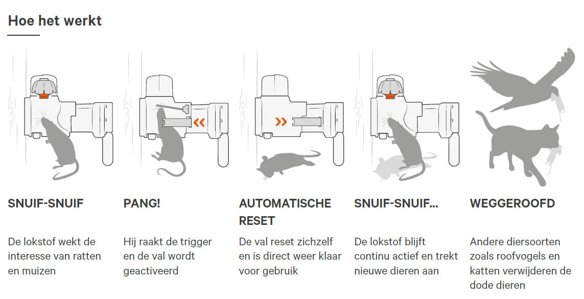 SafeTrap Automatic-25 Ratten - en muizenval Startset