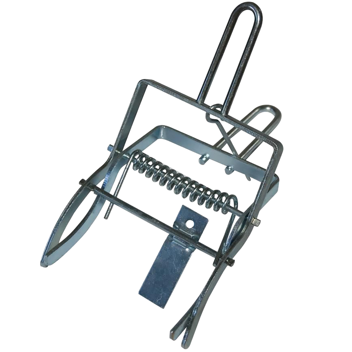 Maulwurfsfalle mit Kralle